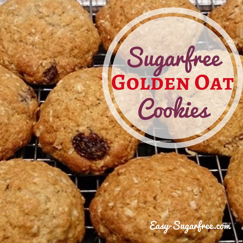 Sugar free Raisin Oat Cookies