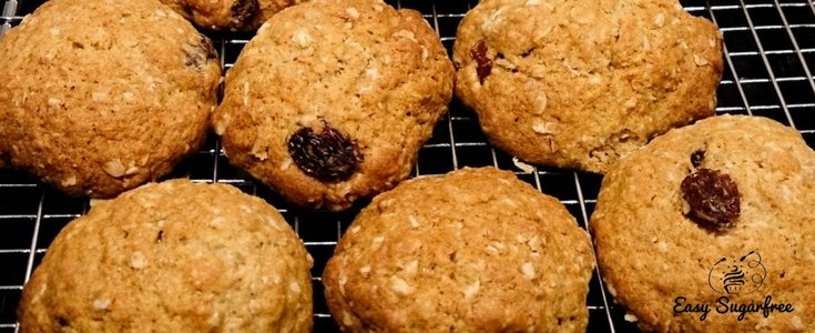 oatmeal raisin cookie recipes